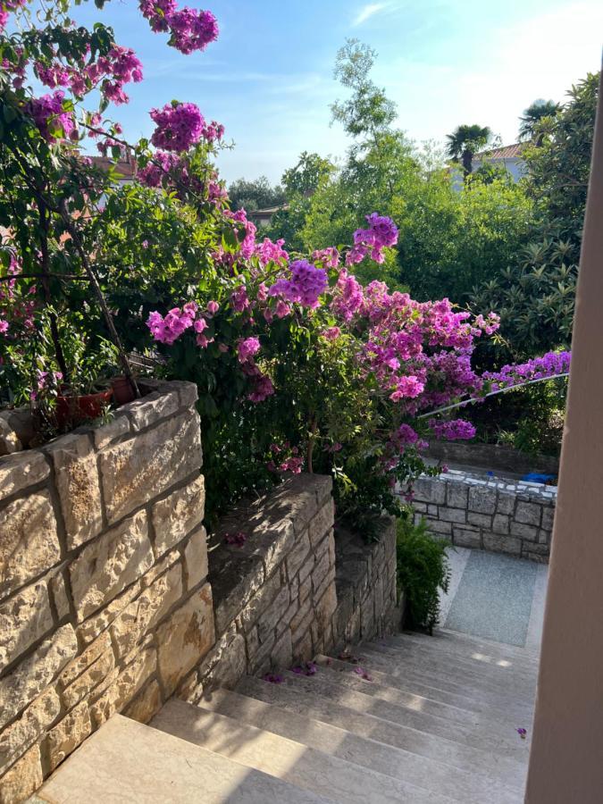 Paola Cozy Studio Rovinj Kültér fotó